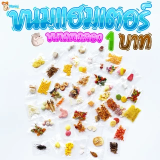 ขนมสุ่ม 1 บาท เลือกได้ แฮมสเตอร์ ชูการ์ กระรอก กระต่าย เม่น ดอร์เมาส์ สัตว์ฟันเเทะอื่นๆ