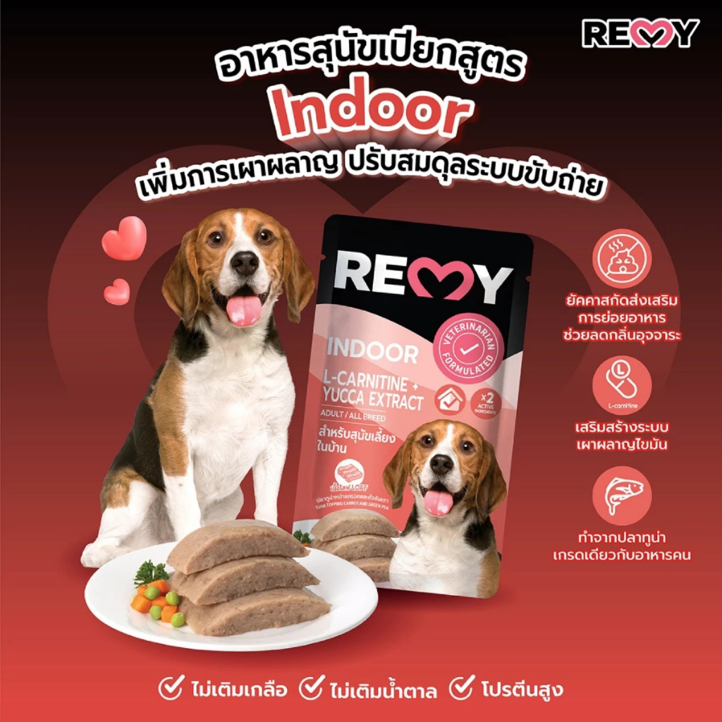 ( ยกโหล 12 ) ซอง REMY Dog เรมี่ สุนัข อาหารเปียกสำหรับสุนัขทุกสายพันธุ์ ขนาด110g
