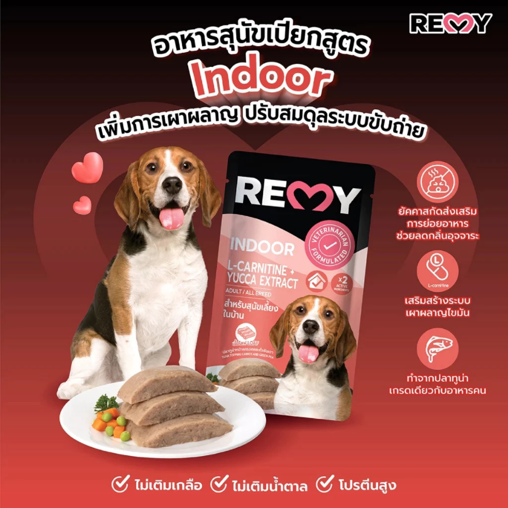 ( ยกโหล 12 ) ซอง REMY Dog เรมี่ สุนัข อาหารเปียกสำหรับสุนัขทุกสายพันธุ์ ขนาด110g