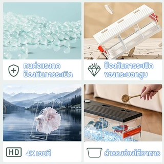 ตู้ปลากัดหลายช่อง LED โปร่งใส วัสดุแข็งแรงไม่แตก วางบนโต๊ะทำงานหรือห้องนั่งเล่น อควาเรียมขนาดเล็ก
