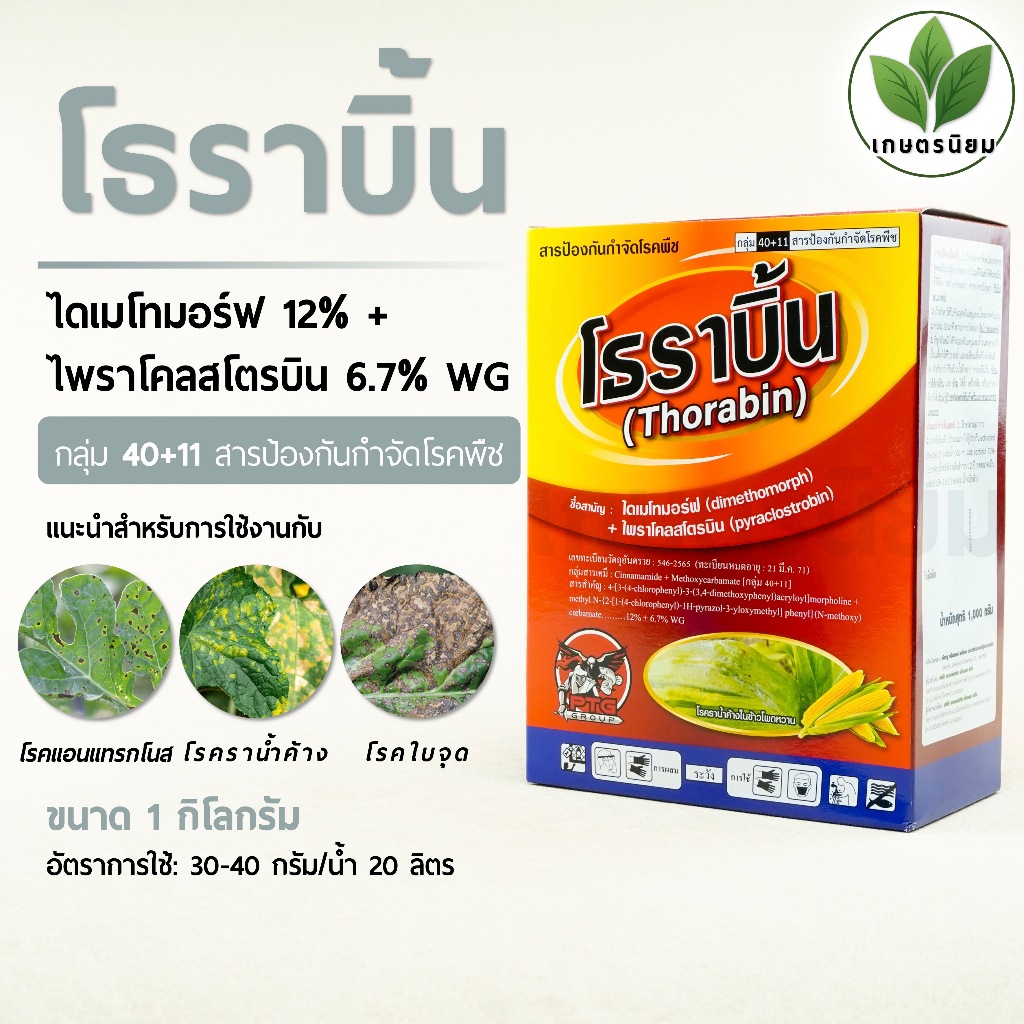 โธราบิ้น (ไดเมโทมอร์ฟ 12% + ไพราโคลสโตรบิน 6.7% WG) 1 กิโลกรัม
