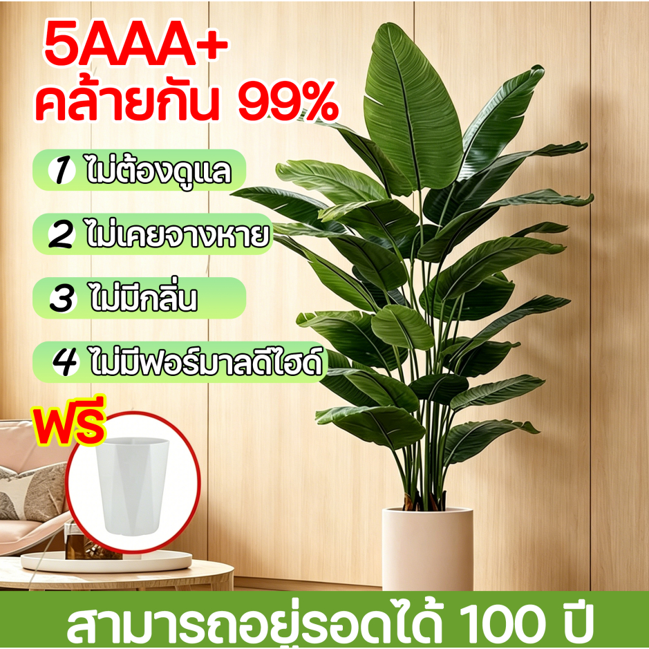 🌲 ส่งอ่างซีเมนต์ 🌲 ต้นไม้สีเขียวปลอม  ต้นไม้จำลองใบสีเขียว 99% ตกแต่งบ้าน ทำความสะอาดง่าย ไม่ต้องรดน้ำ ไม่เหี่ยวแห้ง