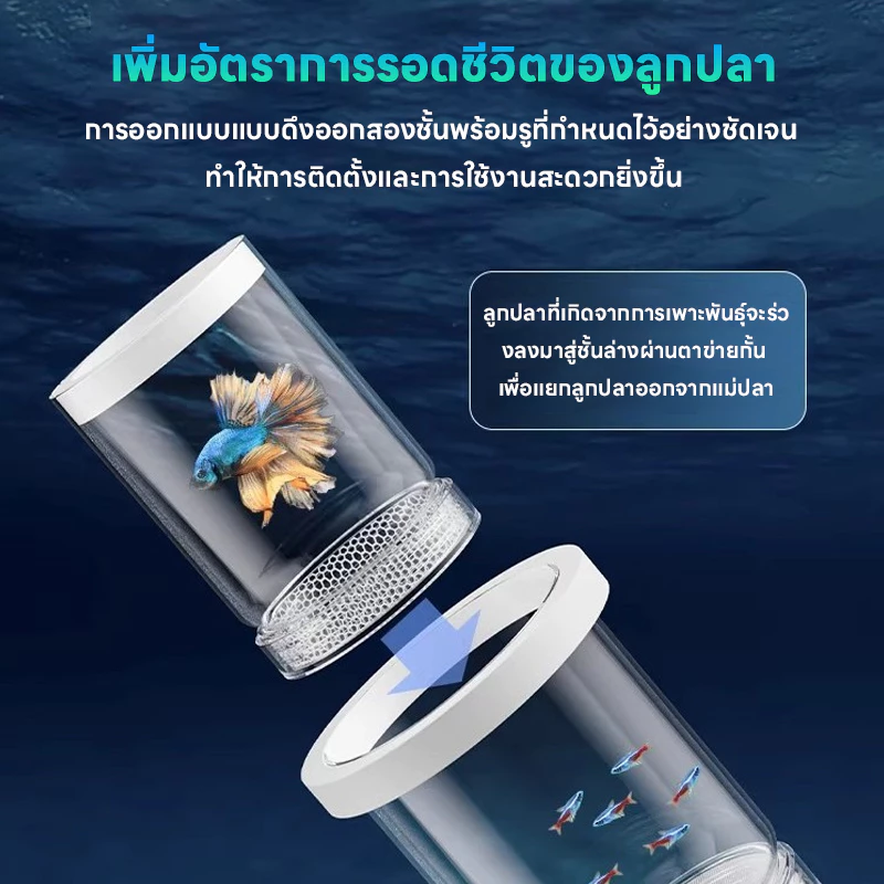 LIVING กล่องแยกปลา กล่องเพาะพันธุ์ปลาหางนกยูง ฟักไข่ปลา แยกปลาเล็ก thumbnail 7