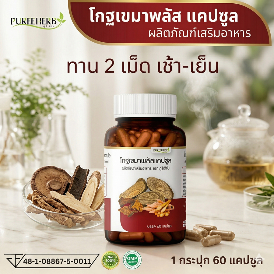 Puree Herb โกฐเขมา โกฐเขมาพลัสแคปซูล ภูรีเฮิร์บ ปวดข้อ ปวดเข่า ปวดหลัง ปวดเอว ปวดเมื่อย เส้นยึด เส้นตึง