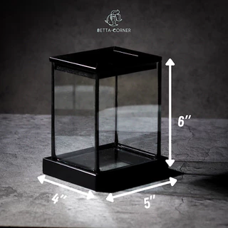 Betta Corner เซ็ตตู้ปลา + ฐานฝารอง