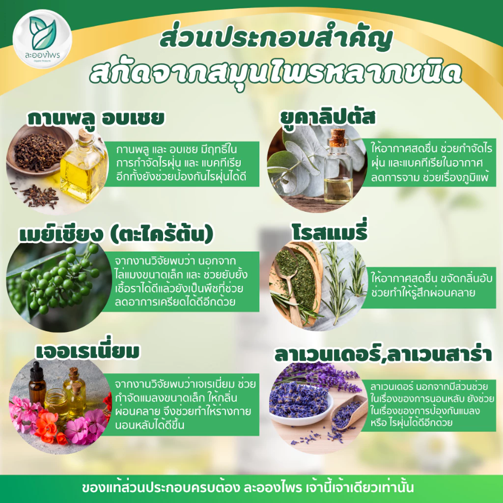 ละอองไพร (ของแท้100%) สเปรย์กำจัดไรฝุ่น สูตรสมุนไพร thumbnail 7