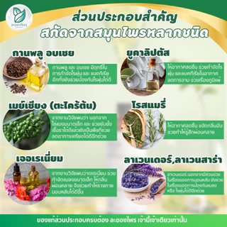 ละอองไพร (ของแท้100%) สเปรย์กำจัดไรฝุ่น สูตรสมุนไพร