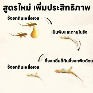 🦎ชุด 3 หลอด คุ้มที่สุด🦎กําจัดจิงจก ฆ่าตุ๊กแก ยาเบื่อจิ้งจก ชุดเดียวจบ ปัญหาจิ้งจกและตุ๊กแก เห็นผล 100% ยาฆ่า จิ้งจก ใน บ