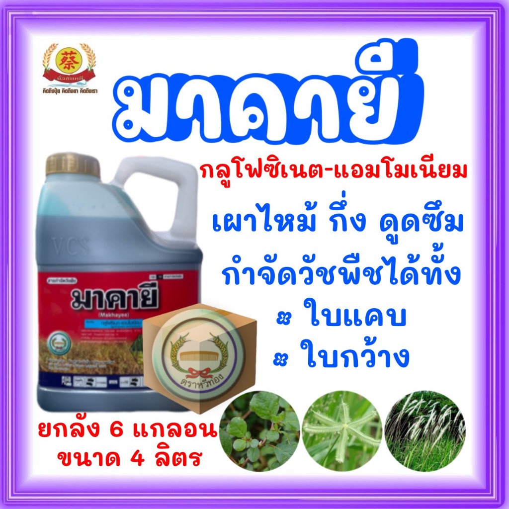 (o)มาคายี *ยกลัง 6 แกลลอน*(กลูโฟซิเนตแอมโมเนียม)
