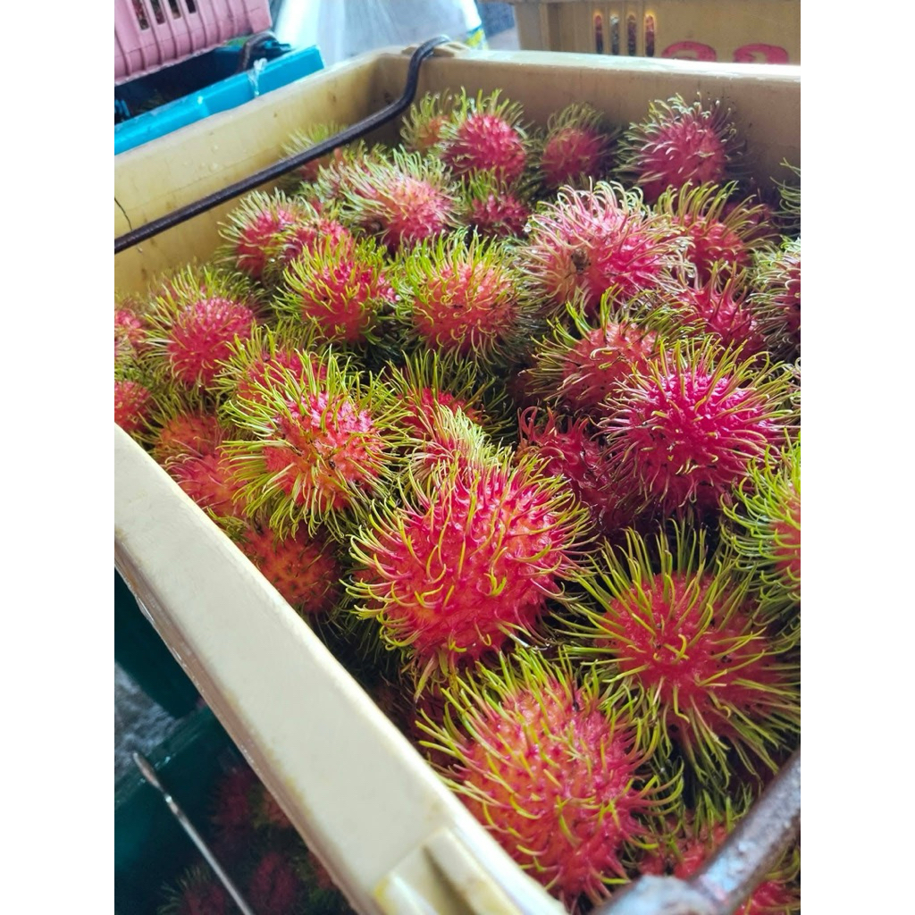 เงาะ สีทองสดน้ำหนัก1กิโลกรัม
