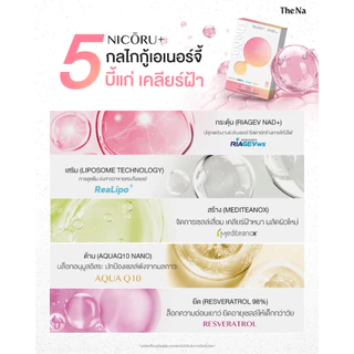 The Na Nicoru 3 กล่อง นิโครุ NAD+ NMN ต้านอนุมูลอิสระ ชะลอวัย ผิวชุ่มชื้น บำรุงสมอง หลับลึก สดชื่น