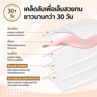 MEFA NAIL Primer 15ml ปกป้องเล็บ ทำให้เบสติดทน ไม่หลุด สำหรับสาวทำเล็บมือ เล็บเจลสวย