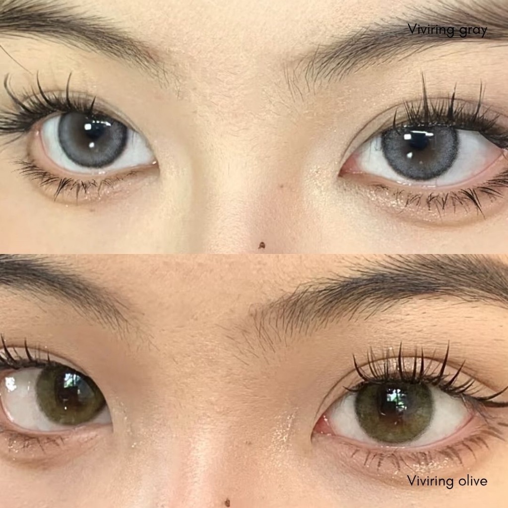 💫🫧(รายวัน/ยกกล่อง5คู่-10คู่) OLens รุ่น Vivi ring คอนแทคเลนส์รายวัน มีสายตาปกติและค่าสายตา