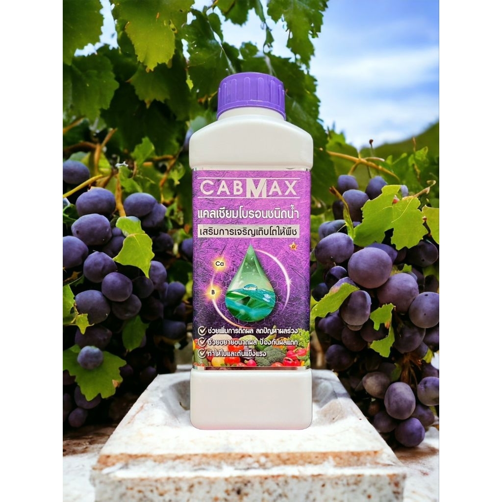 1แถม1ปุ๋ยแคลเซี่ยมโบรอนCABMAX