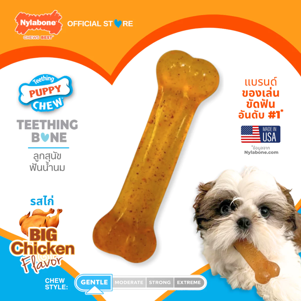 🇺🇸Made in USA🇺🇸 Nylabone Puppy Chew Teething Bone ของเล่นกระดูกแทะขัดฟันลูกสุนัข ลดอาการคันเหงือก รสไก่