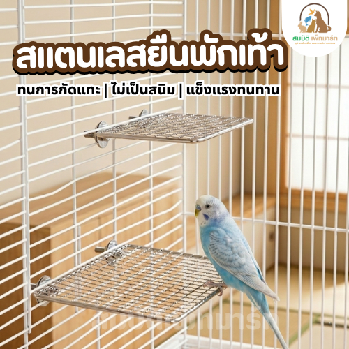 ชั้นวางนก สแตนเลส ติดกรงนก ไม่เป็นสนิม ระบายอากาศดี แข็งแรงทนทาน (มี 3 ขนาด)