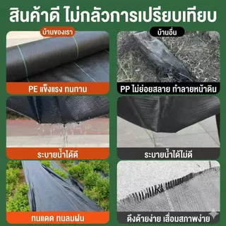 *แถมหมุดปัก* ผ้าคลุมวัชพืช1x50 2x50 3X100M ระบายอากาศได้ ทนความร้อนสูง วัสดุที่ย่อยสลายได้ กำจัดหญ้า พลาสติกคลุมดิน