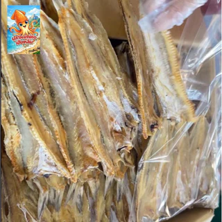 ปลาช่อนทะเลกลางคุณภาพสูง
