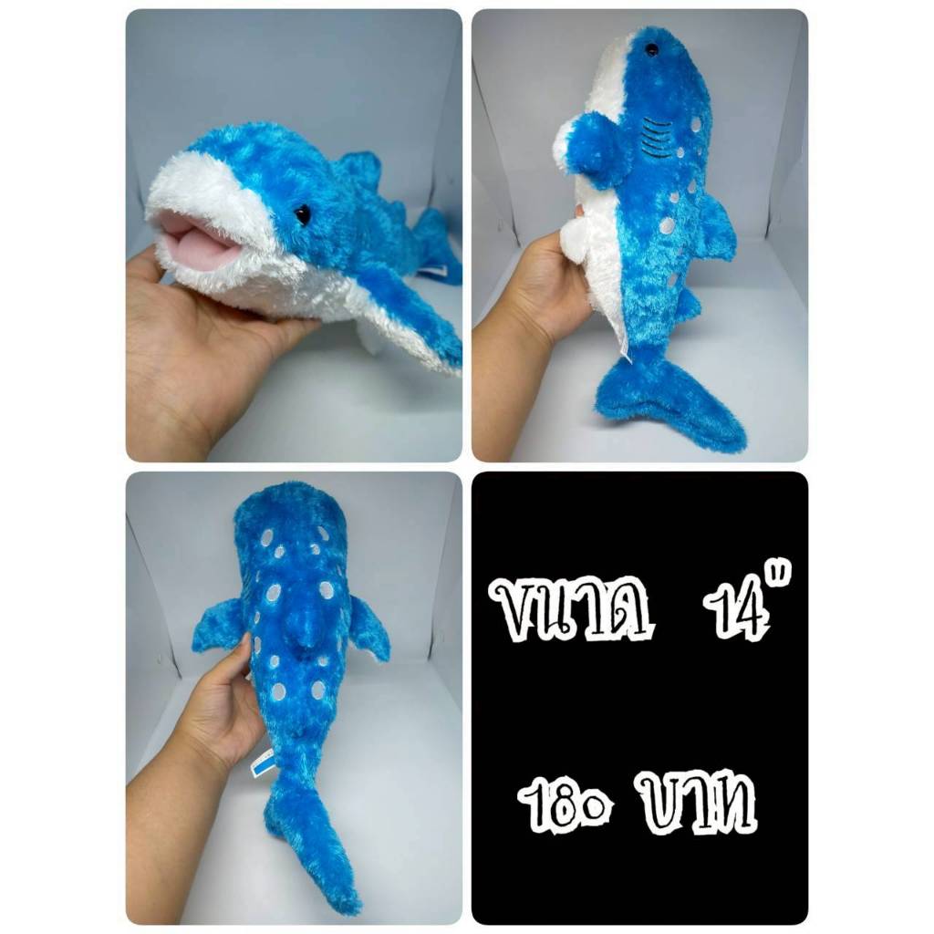 Whale Shark#ฉลามวาฬ#ปลาฉลามวาฬ#ปลาฉลาม#ปลา#Okinawa Churaumi Aquarium#ตุ๊กตาญี่ปุ่นมือสอง