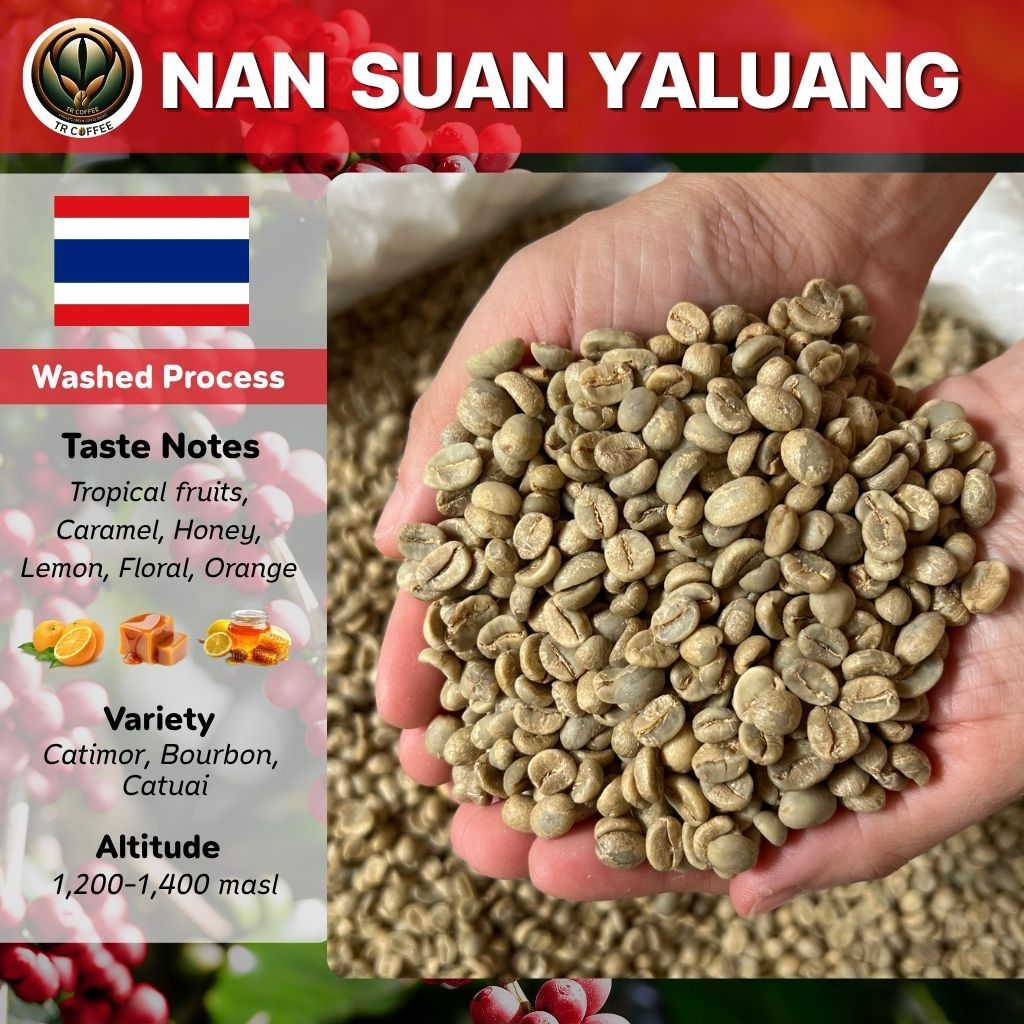 สารกาแฟไทย Doi Chang ดอยช้าง อราบิก้า/Washed สั่งซื้อเกิน 20kg. ทักแชท  เมล็ดกาแฟดิบ