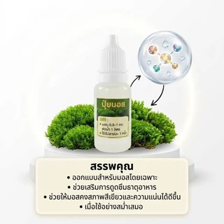 มอสดิน ขนาดกล่อง15cm*9.5cm ราคาถูก แต่งสวนถาด บอนไซ น้ำตกโขดหิน((มอสสด))