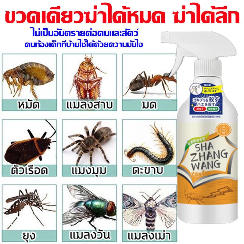 สเปรย์กำจัดแมลงสาบ 500 มล. แมลงสาบตายทันทีเมื่อสัมผัส กำจัดแมลงสาบได้อย่างมีประสิทธิภาพ สูตรปลอดภัย ไม่เป็นอันตรายต่อมนุ ราคา ถูกที่สุด ดีลบีเคเค แกลเลอรีภาพที่ 3