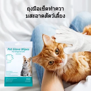 ถุงมือเช็ดสัตว์เลี้ยง กำจัดกลิ่นเหม็นทำความสะอาดลึก ไม่ระคายเคืองผิว ไม่ต้องล้างน้ำ ปราศจากแอลกอฮอล์ เลียปลอดภัย COD