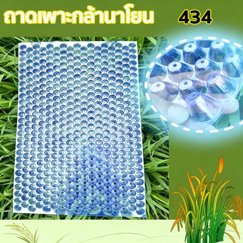🌱ถาดเพาะกล้า ถาดเพาะเมล็ด  (แบบหนา) 434 หลุม50 ชิ้น100 ชิ้น ถาดกล้านาโยน  ปลูกกล้านาโยน ใช้เพาะเมล็ดข้าว ถาดเพาะนาโยน 🌱