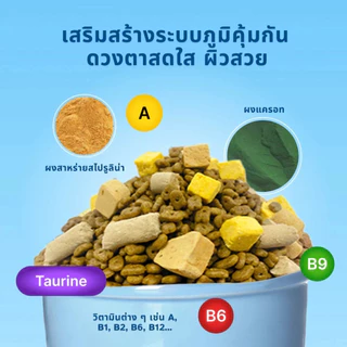 MR.VET อาหารแมว 10 กิโล ผสมฟรีซดราย สูตร T2-บำรุงขน Hair & Skin สำหรับแมวทุกวัย