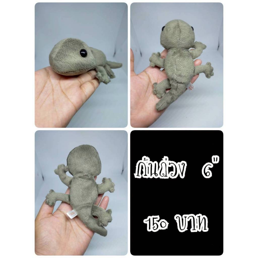 Gecko#House Gecko#Lizard#จิ้งจก#Little Beans#ก้นถ่วง#ตุ๊กตาญี่ปุ่นมือสอง