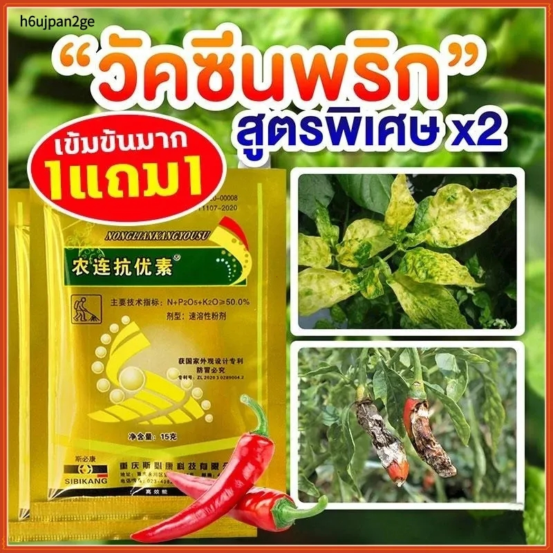 【COD 🌶️ซื้อ1แถม1🌶️】วัคซีนพืชสามารถป้องกันโรคพริกเน่า โรคกุ้งแห้ง โรคผลเน่า โรครากเน่า โรคใบม้วน โรคใบเหลือง โรคพริก และโ