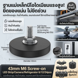 ฐานแม่เหล็ก 6/12/24 ชิ้น แม่เหล็กนีโอไดเมียม เกลียว M6 แม่เหล็กแบบมีแกน ป้องกันรอยขีดข่วน แม่เหล็กแรงสูง