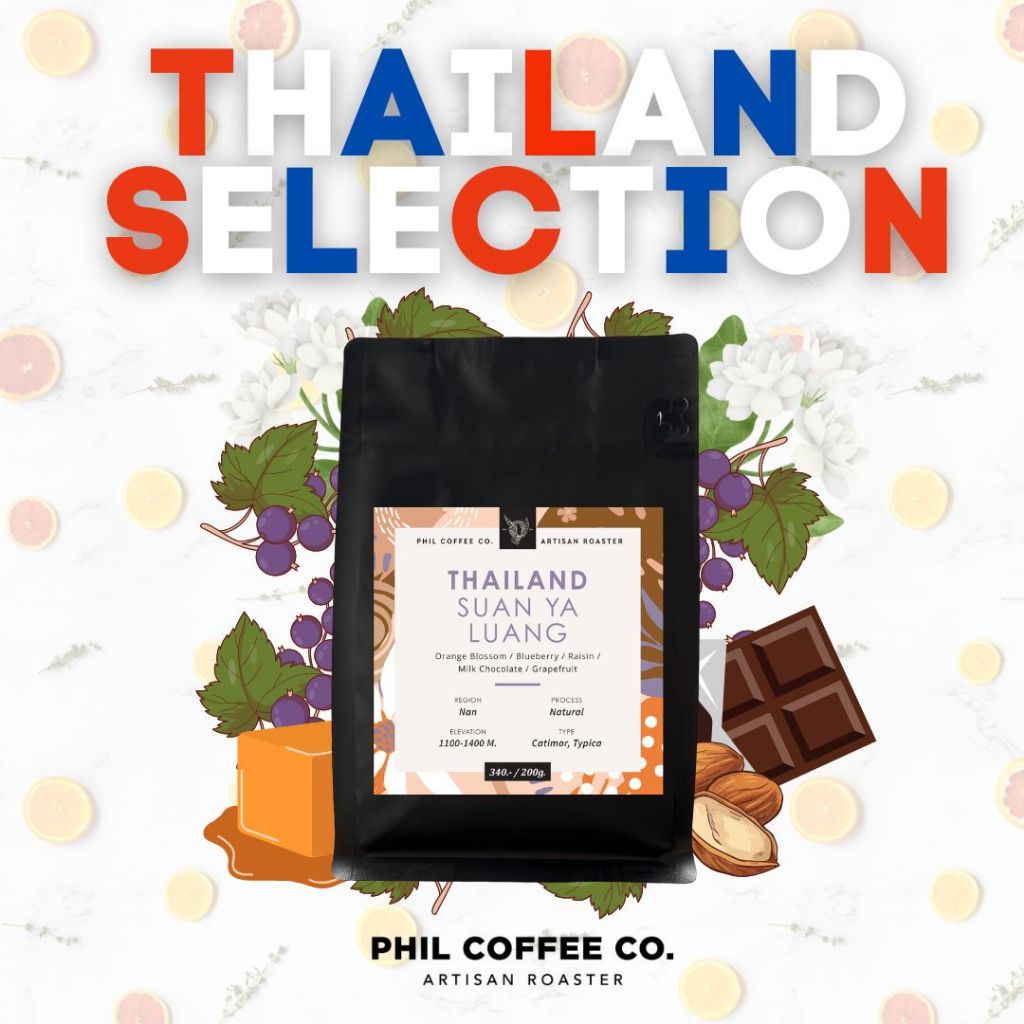 Thailand Bean Selection เมล็ดกาแฟไทย Arabica 100%