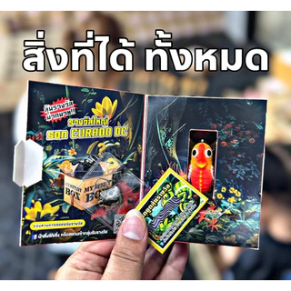 กบยาง รุ่น อีกัวน่า (สุ่มสี)