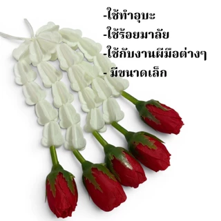 ดอกชาตูม ดอกกุหลาบข่า ถุงละ 50/100 ดอก