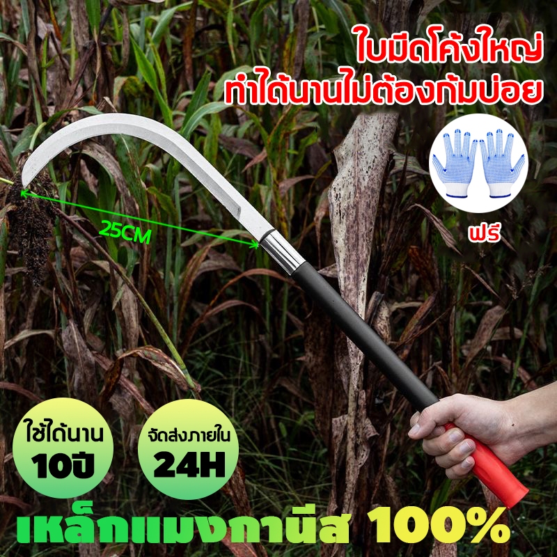 เคียว มีดตัดหญ้า เคียวด้ามยาว 40/60ซม. ใช้สำหรับตัดไม้ ตัดหญ้า  มีดตัดถนนป่า เคียวแมงกานีสแท้