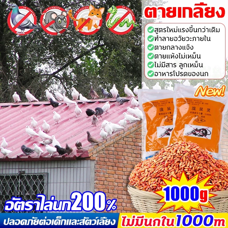 4🕊️เห็นผลชัวร์200% แลนเนท ยาเบื่อนก ยาฆ่านกพิราบ ยาฆ่านก 500g ยานกพิราบ ทำลายอวัยวะภายในตายใน 1วัน แห้งเร็วและไม่มีกลิ่น