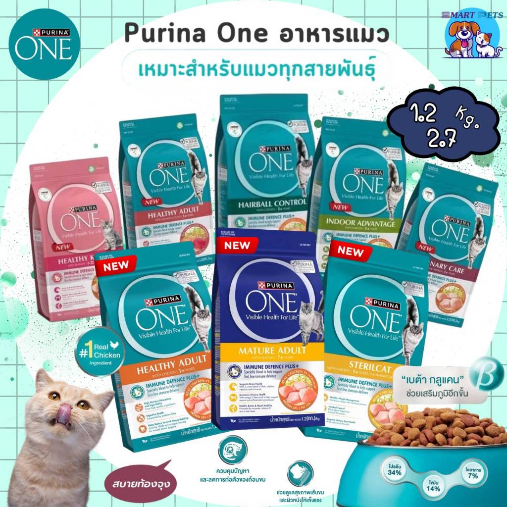 Purina ONE เพียวริน่า วัน แซลมอน รีวิวอาหารแมวพรีเมี่ยม บำรุงครบ 6 สัญญาณสุขภาพ