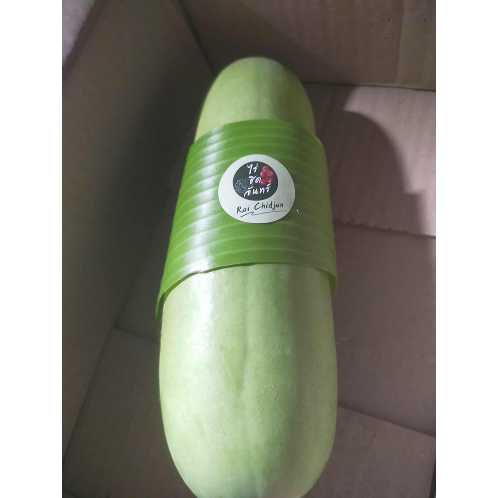 ฟักเขียวอ่อนสด ฟักแกง 1ลูก 700-800 กรัม🥬 รับประกันคุณภาพสินค้า