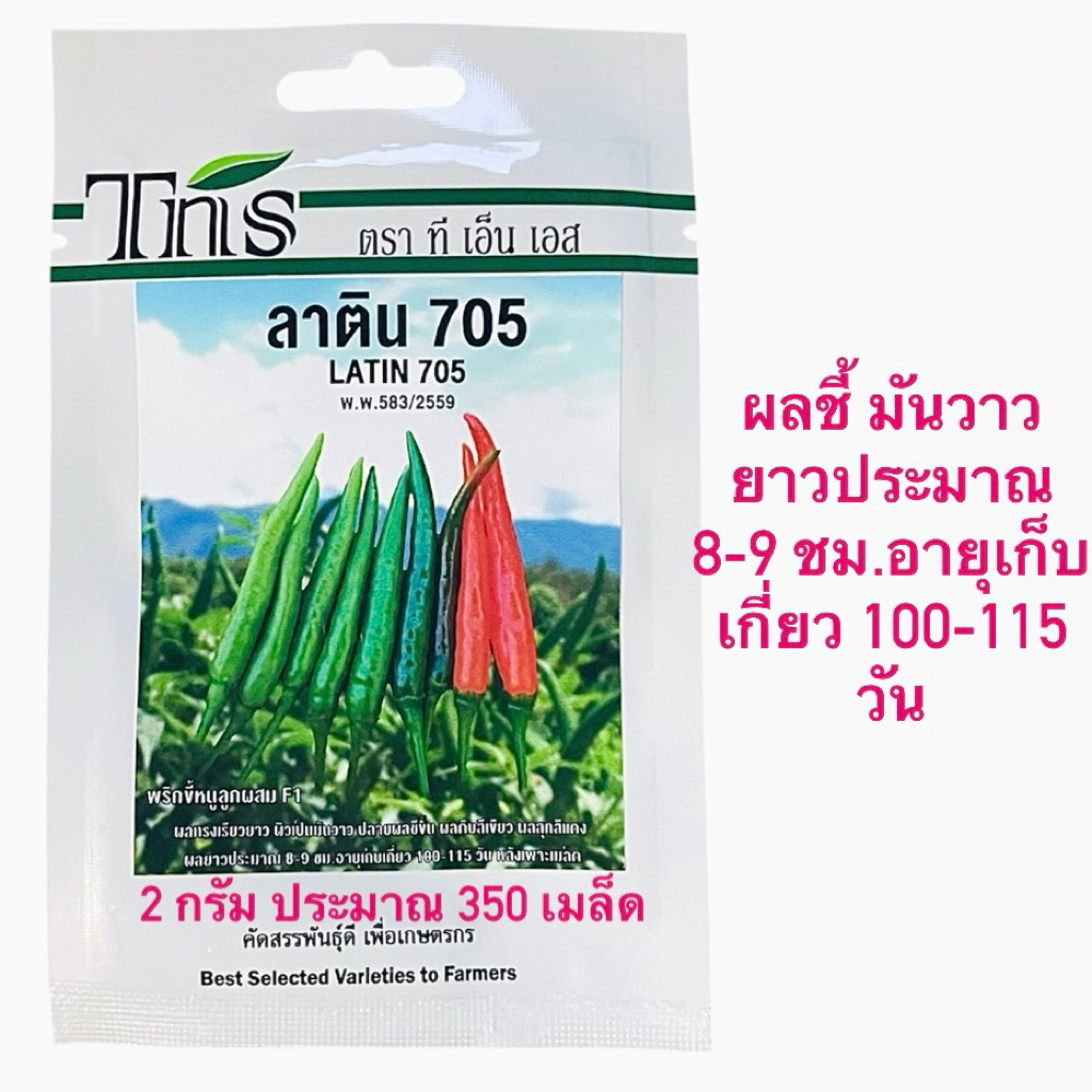 tns พริกขี้หนู F1 ลาติน (2 กรัม ประมาณ 350 เมล็ด)