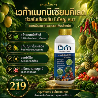 เวก้าแมกนีเซียม ฟื้นฟูต้น เร่งการเจริญเติบโต เร่งต้น เร่งใบ เร่งแตกแขนง แตกกอ ใบเขียวเข้ม 1ลิตร