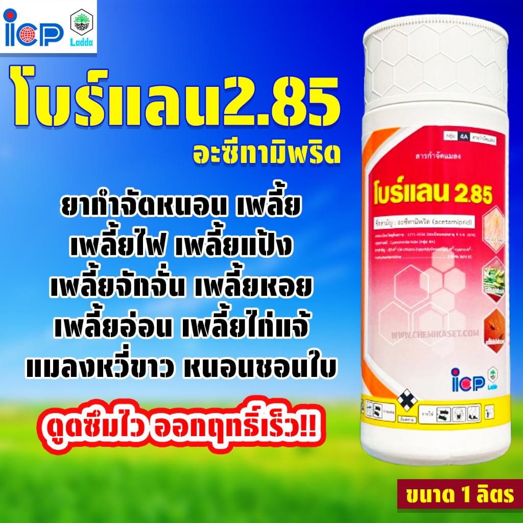 โบร์แลน 285 ขนาด 1 ลิตร อะซีทามีพริด ป้องกันกำจัดเพลี้ยไฟ เพลี้ยแป้ง แมลงหวี่ขาว เพลี้ยจักจั่น