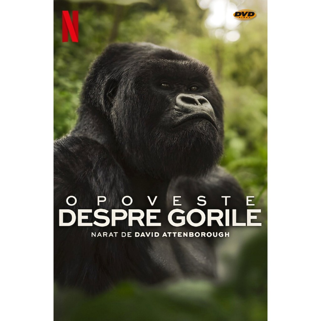 DVD หนังใหม่ A Gorilla Story: Told by David Attenborough เล่าเรื่องกอริลลา โดยเดวิด แอทเทนเบอเรอห์ มีเสียงไทย