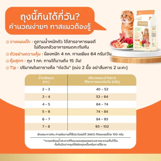 Pawdy อาหารแมวเกรดพรีเมียม Holistic สำหรับแมวโต อายุ 1-6 ปี สูตรเนื้อแกะและทูน่าผสมเนื้อกุ้ง ขนาด 6 กก.