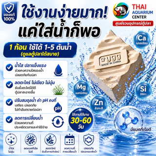 YEE Bacterial Cube Mineral Brick หินแร่แบคทีเรีย ปรับสภาพน้ำ ลดของเสีย น้ำใส (500g / 1 ก้อน)