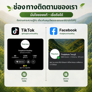 โปรคุ้มสุด 12 กล่อง | ผลิตภัณฑ์เสริมอาหารปาวาฬ | PAWAN | ดูแลสุขภาพปอด หายใจโล่งสบาย เย็นชุ่มคอ