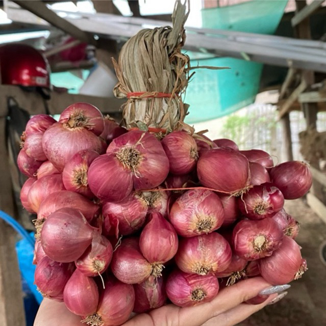 [ส่งฟรี]หอมแดงมัดจุก หัวกลาง  แห้งแล้วบริการเก็บเงินปลายทาง