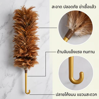 ไม้ปัดฝุ่นขนนก เกรด A ด้ามพลาสติก มีขนาด 70 ซม. 60 ซม. และ 40 ซม. ขนแปรงหนาและฟูและไม่หลุดร่วงง่าย