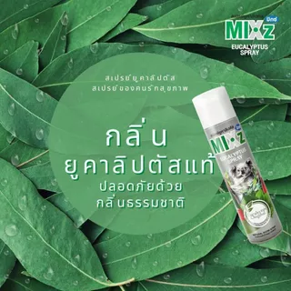 [ ได้ 1 ขวดเท่านั้น ] MIXz สเปรย์ยูคาลิปตัส Eucalyptus Spray 320 มล.