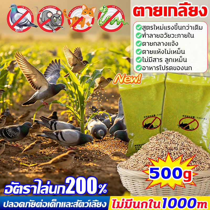 2🕊️เห็นผลชัวร์200% แลนเนท ยาเบื่อนก ยาฆ่านกพิราบ ยาฆ่านก 500g ยานกพิราบ ทำลายอวัยวะภายในตายใน 1วัน แห้งเร็วและไม่มีกลิ่น